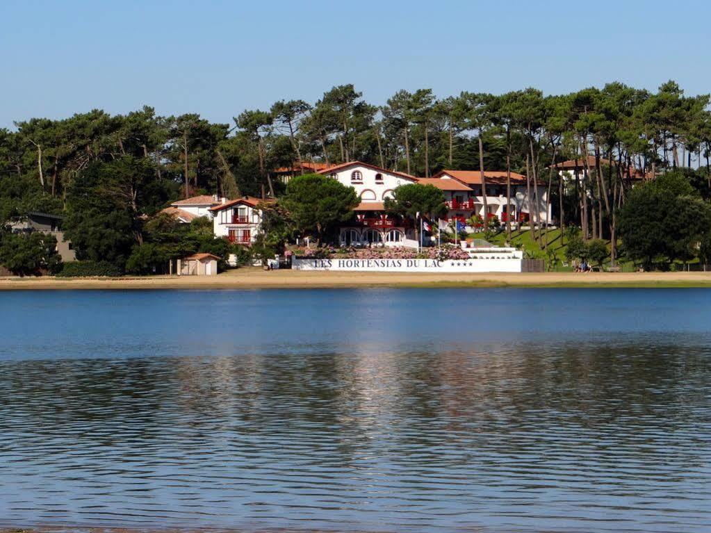Les Hortensias Du Hotel